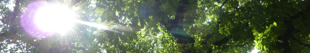 防災セットの情報いっぱい！